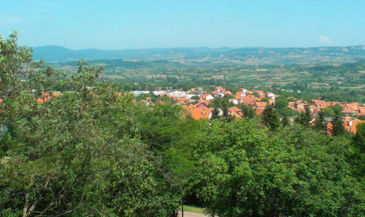 Vila Akademik A1 Sokobanja Zewnętrze zdjęcie
