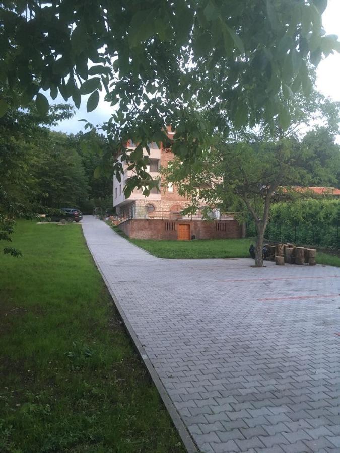 Vila Akademik A1 Sokobanja Zewnętrze zdjęcie